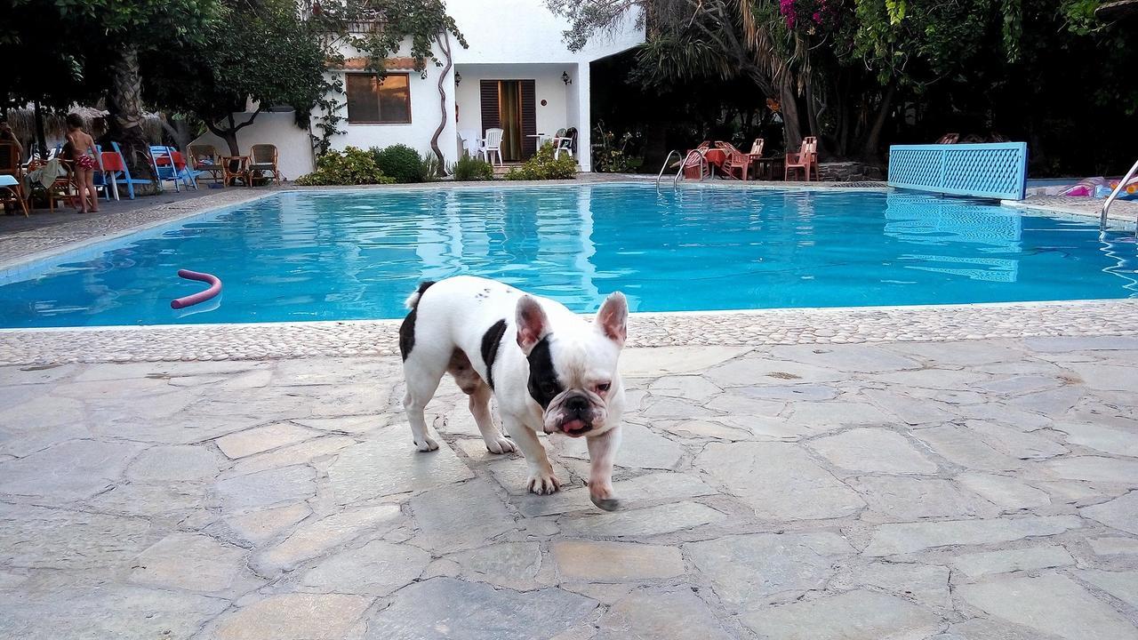Oasis Hotel Bungalows Rhodes Afando Esterno foto